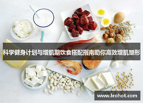 科学健身计划与增肌期饮食搭配指南助你高效增肌塑形